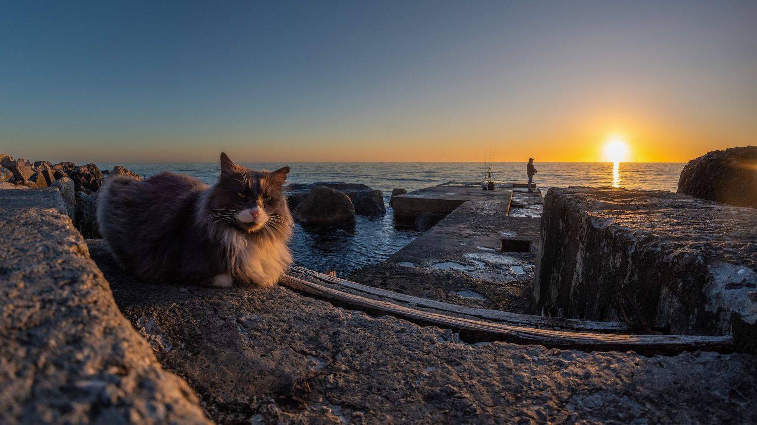 , Котенко Вадим