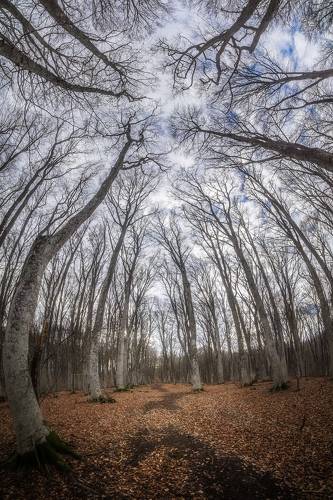 На Ангарском перевале