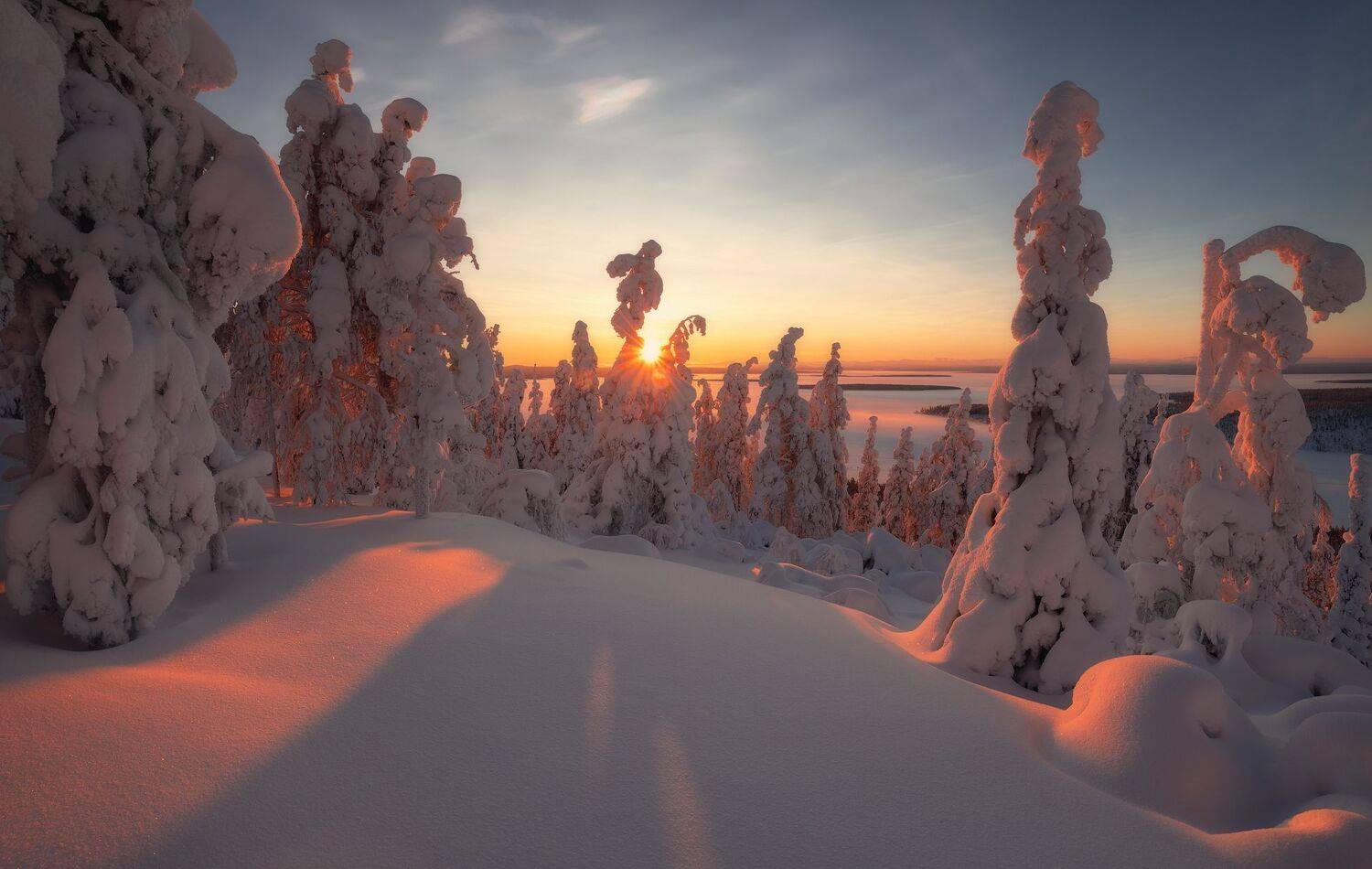 , Виталий Истомин