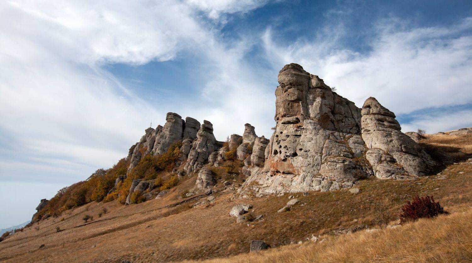 , Андрей Гусаченко
