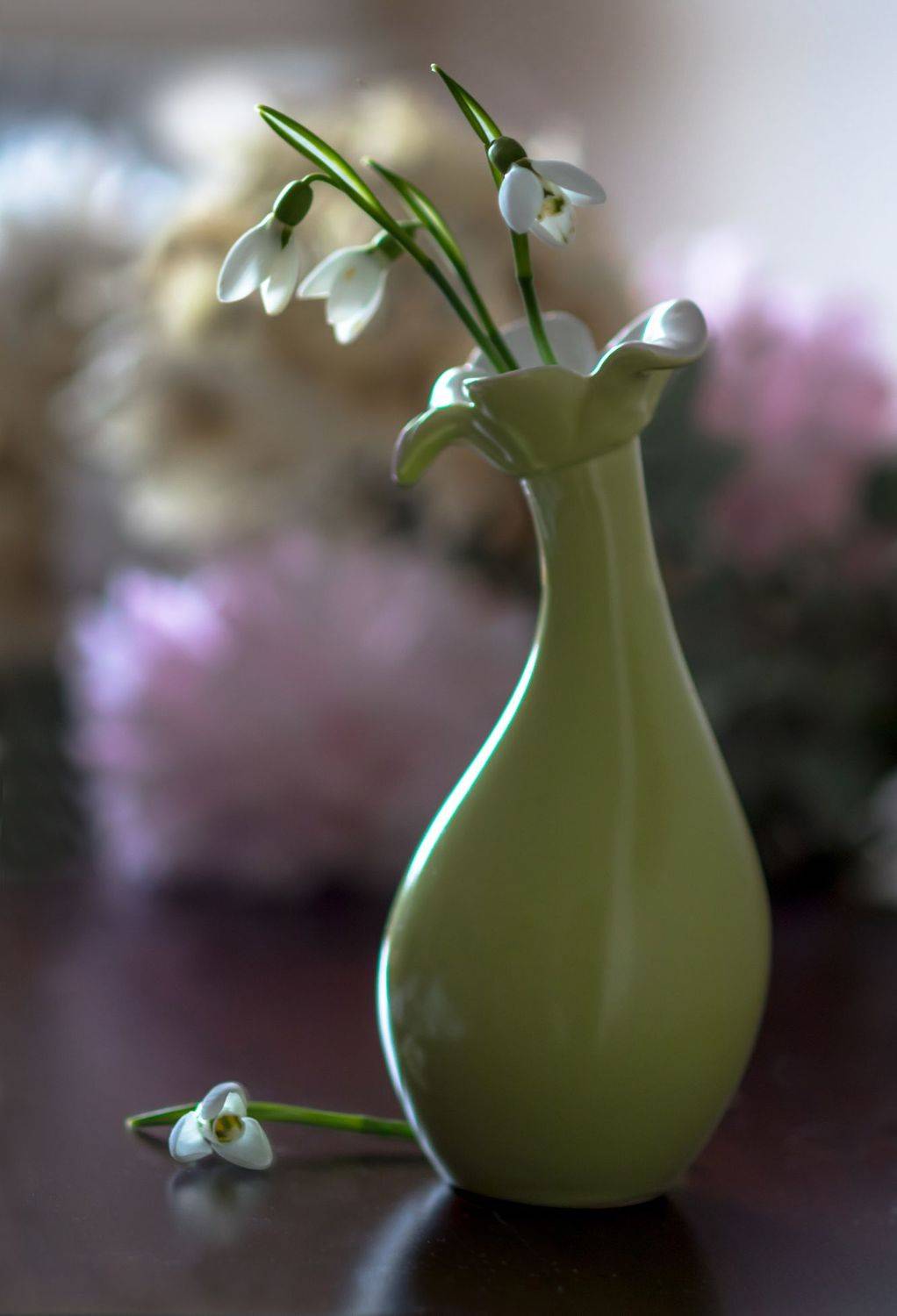 натюрморт,цветы,этюд,подснежники,январь,зима,ваза,, Антонина Яновска