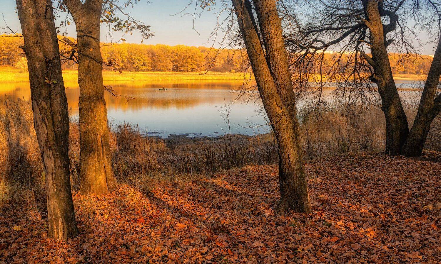 одинокий, Лысенко Сергей