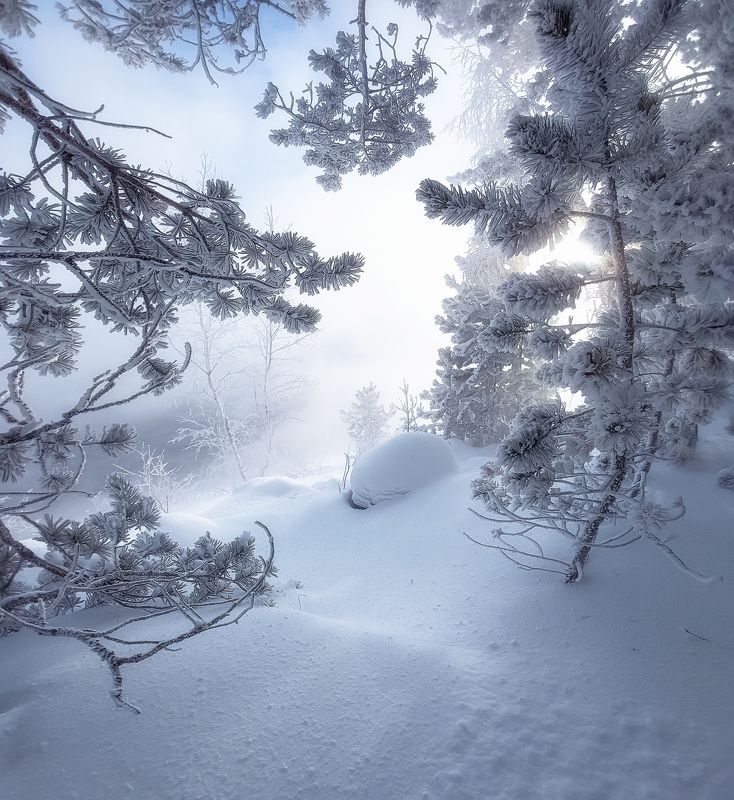 В снежной рамочке фото превью