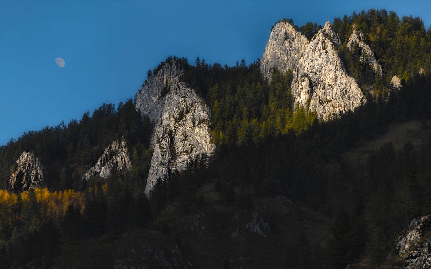 , Олег Дунаев