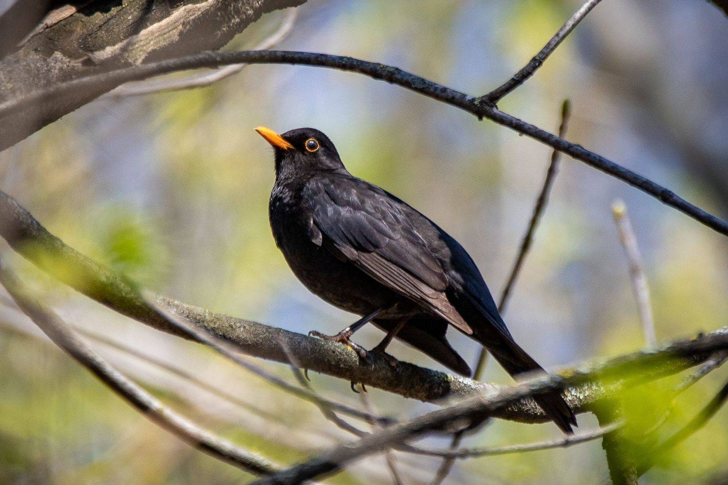 , Лоскутова Евгения
