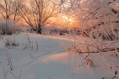 Следы на снегу
