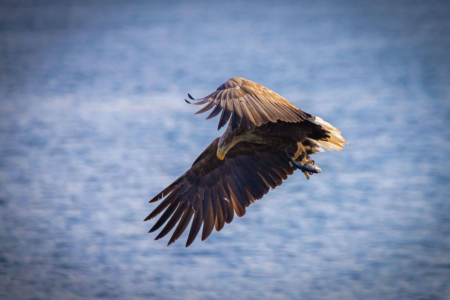 , Лоскутова Евгения