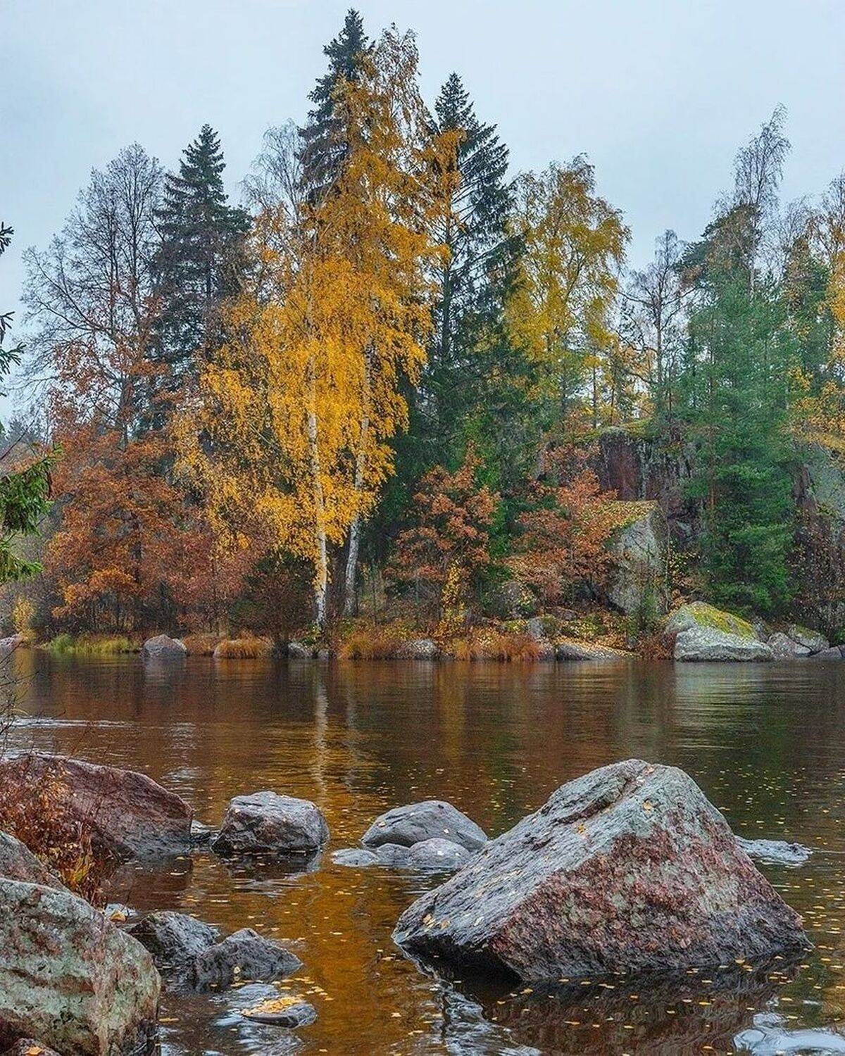 , Петр Косых
