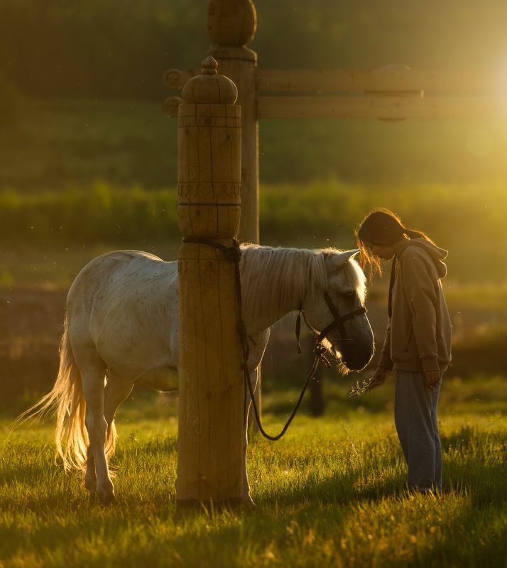 Встреча на заре фото превью