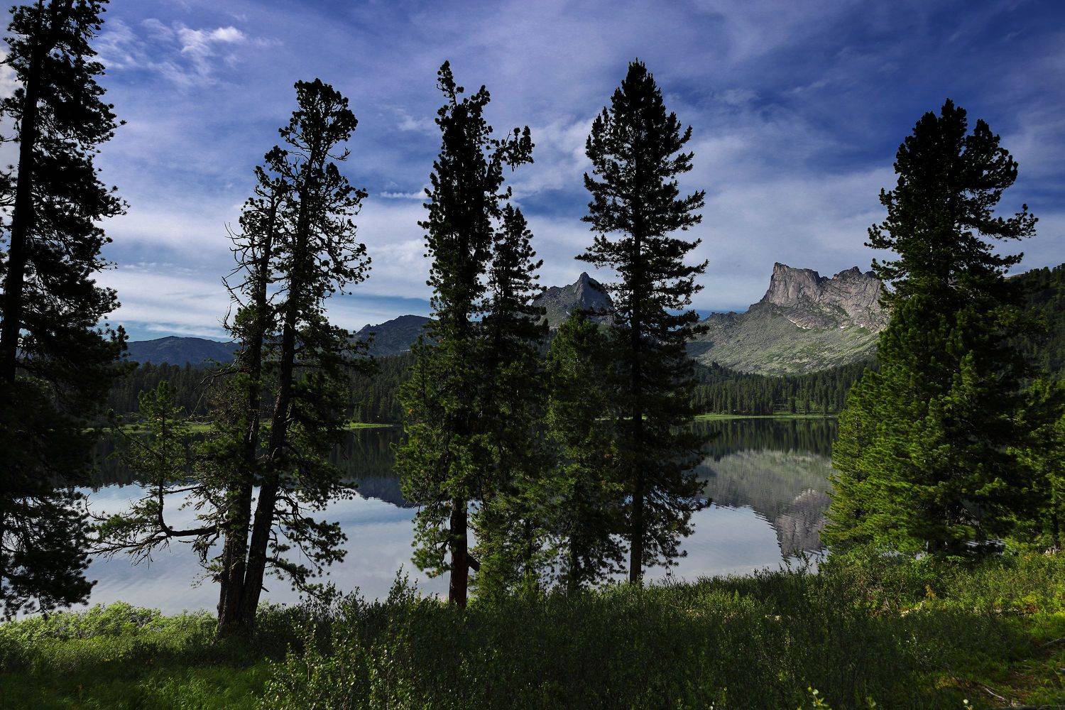 , Павел Мартюшев