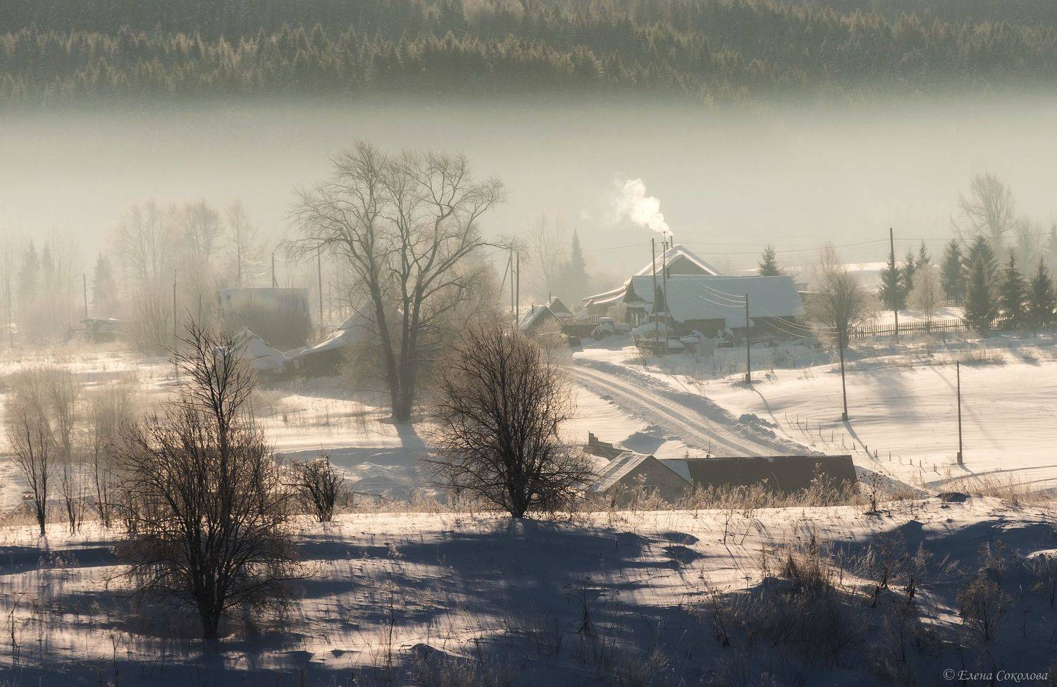 село, деревня, бым, пейзаж, туман, зима, утро, лес, Соколова Елена