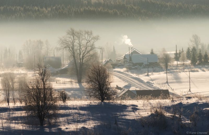 село, деревня, бым, пейзаж, туман, зима, утро, лес Село Бым фото превью