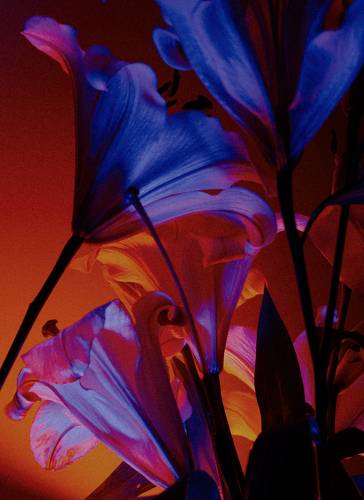 Glow