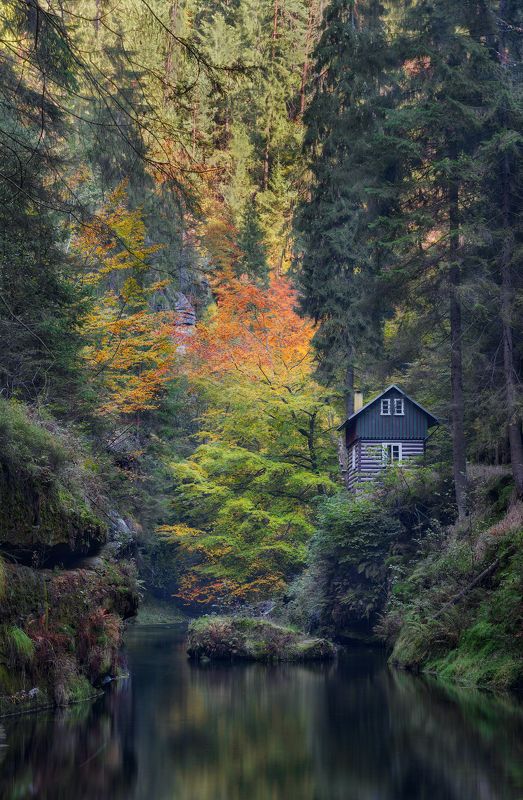 чехия, ущелье, река, домик, парк, осень, листья, национальный парк, чешская швейцария, богемская швейцария, саксонская швейцария, природный парк, czechia, czech republic, bohemian switzerland, national park, park, fall, autumn, gorge, edmundsklamm, hut Ущелье Эдмунда / Edmund Gorge фото превью
