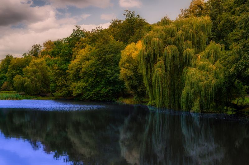 Park фото превью