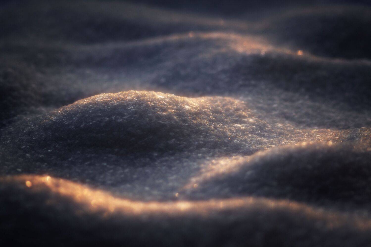 свет цвет тени сияние фотография, Еремеев Дмитрий