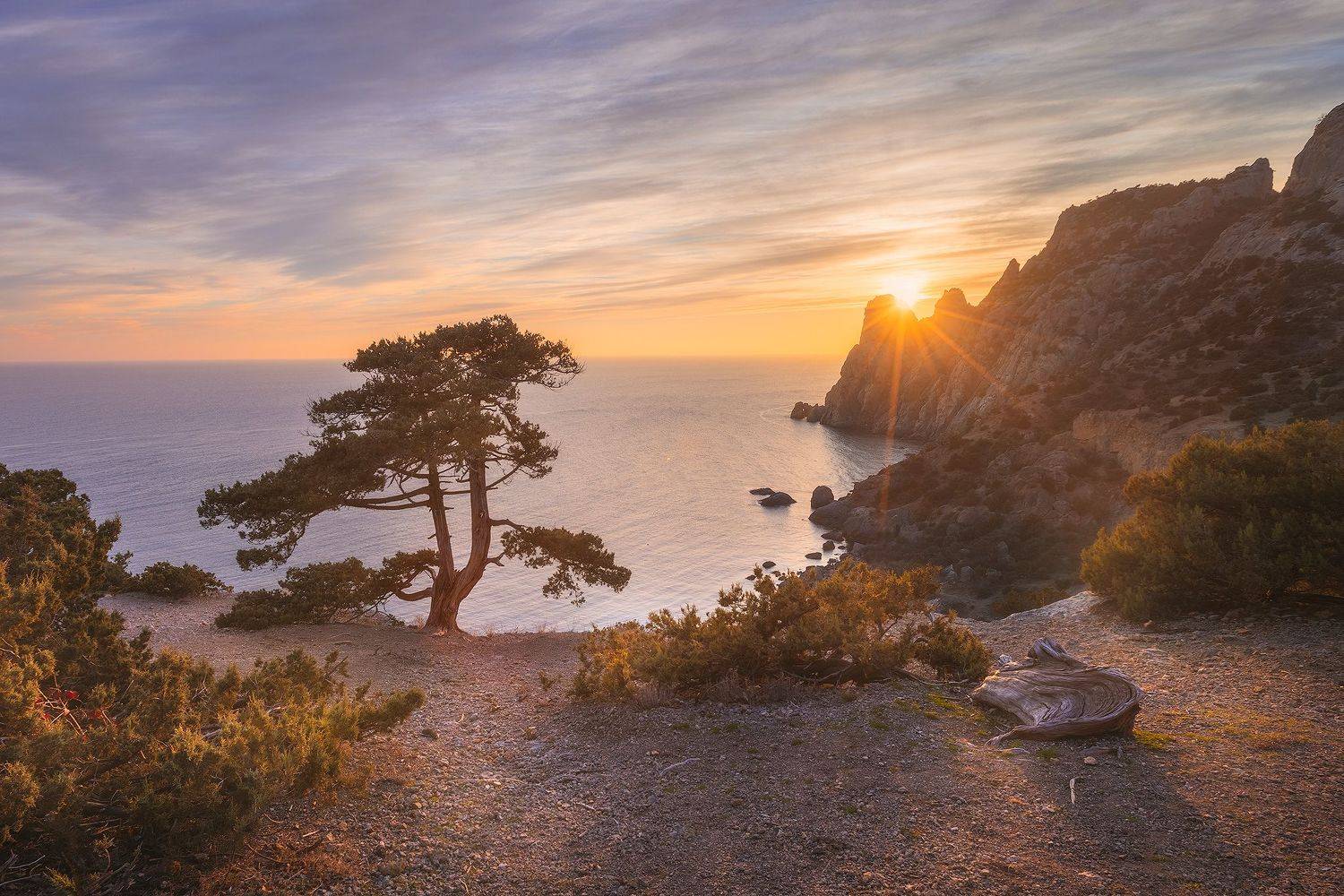 , Костенко Александр