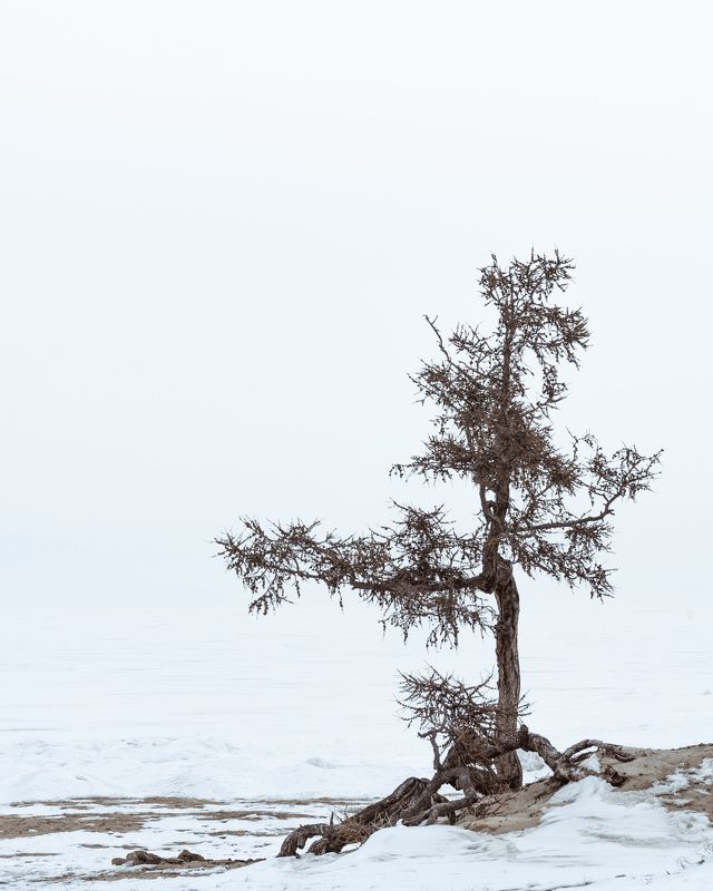 Байкал. Минимализм острова Ольхон…  Baikal. The minimalism of Olkhon island... фото превью