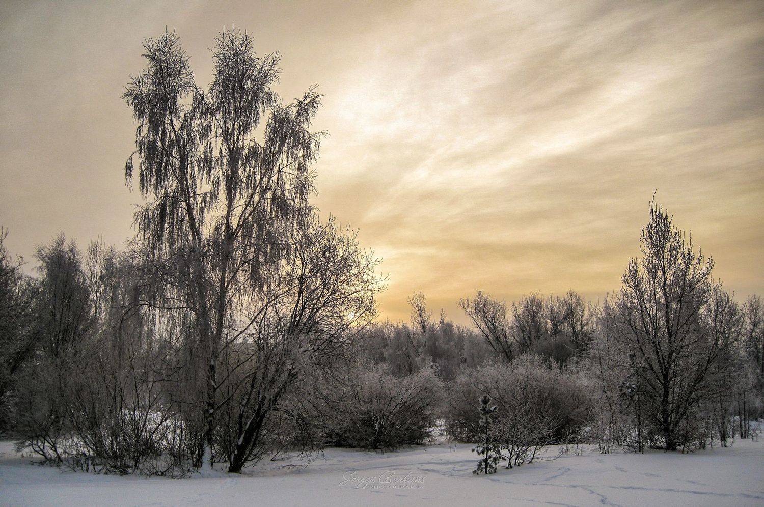#winter #snow #frost #tree #sunset, Sergejs Barkans