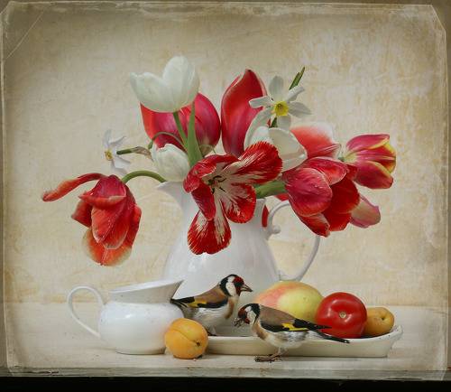 Натюрморт с абрикосом