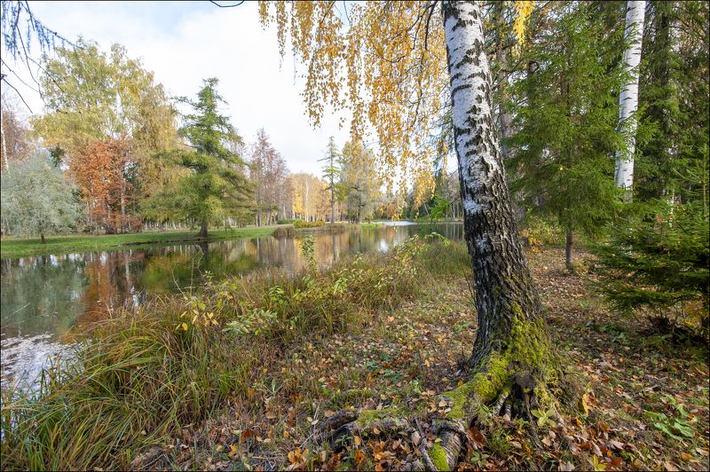 Гатчина в хорошую погоду фото превью