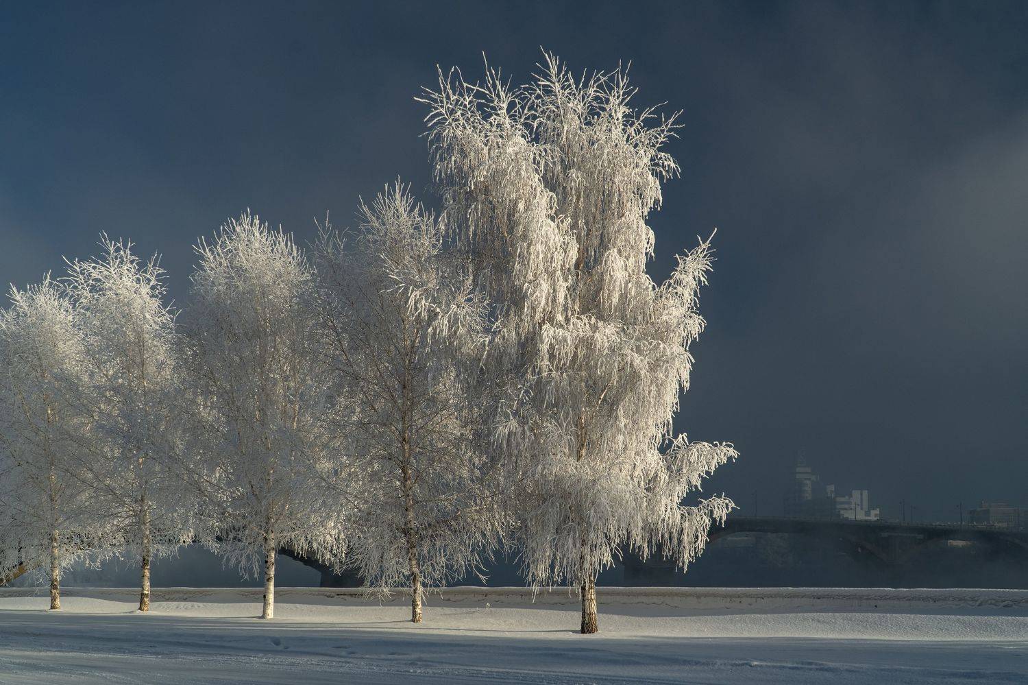 иркутск, ангара, зима, иней, туман, Тильпунов Михаил