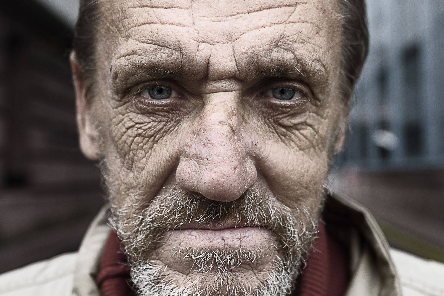 портрет, Невмержицкий Валерий