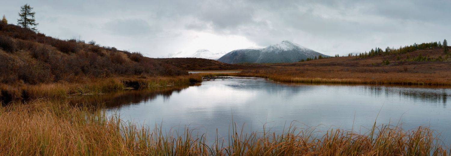 , Борис Леваков