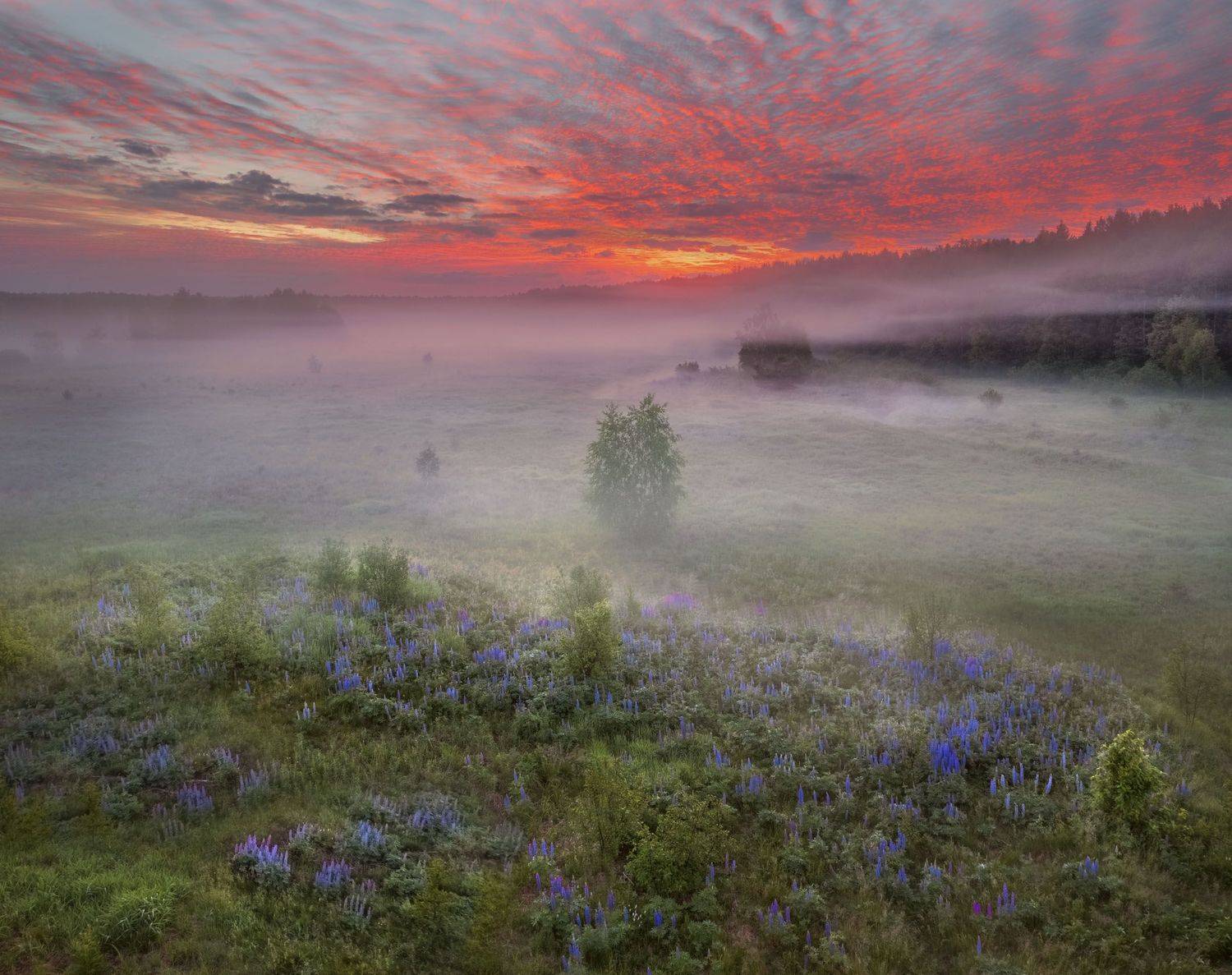 Фототуры с Владимиром Рябковым, #topnature #russpasibo #magic_shots #lovelyRussia #sunset_vision #exclusive_sky  #exclusive_shots #loves_russia2 #photoarena_nature #nature_sultans #nature_perfection #rsa_sky #rsa_sunset #photorussia #rsa_naturepics #sunse, Владимир Рябков