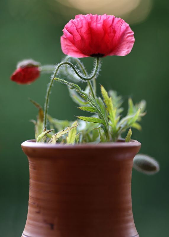 Маяк лета фото превью