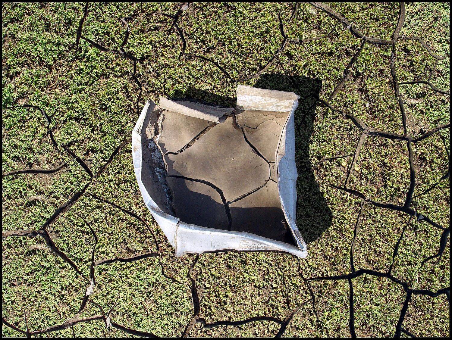 , Меднов Влад