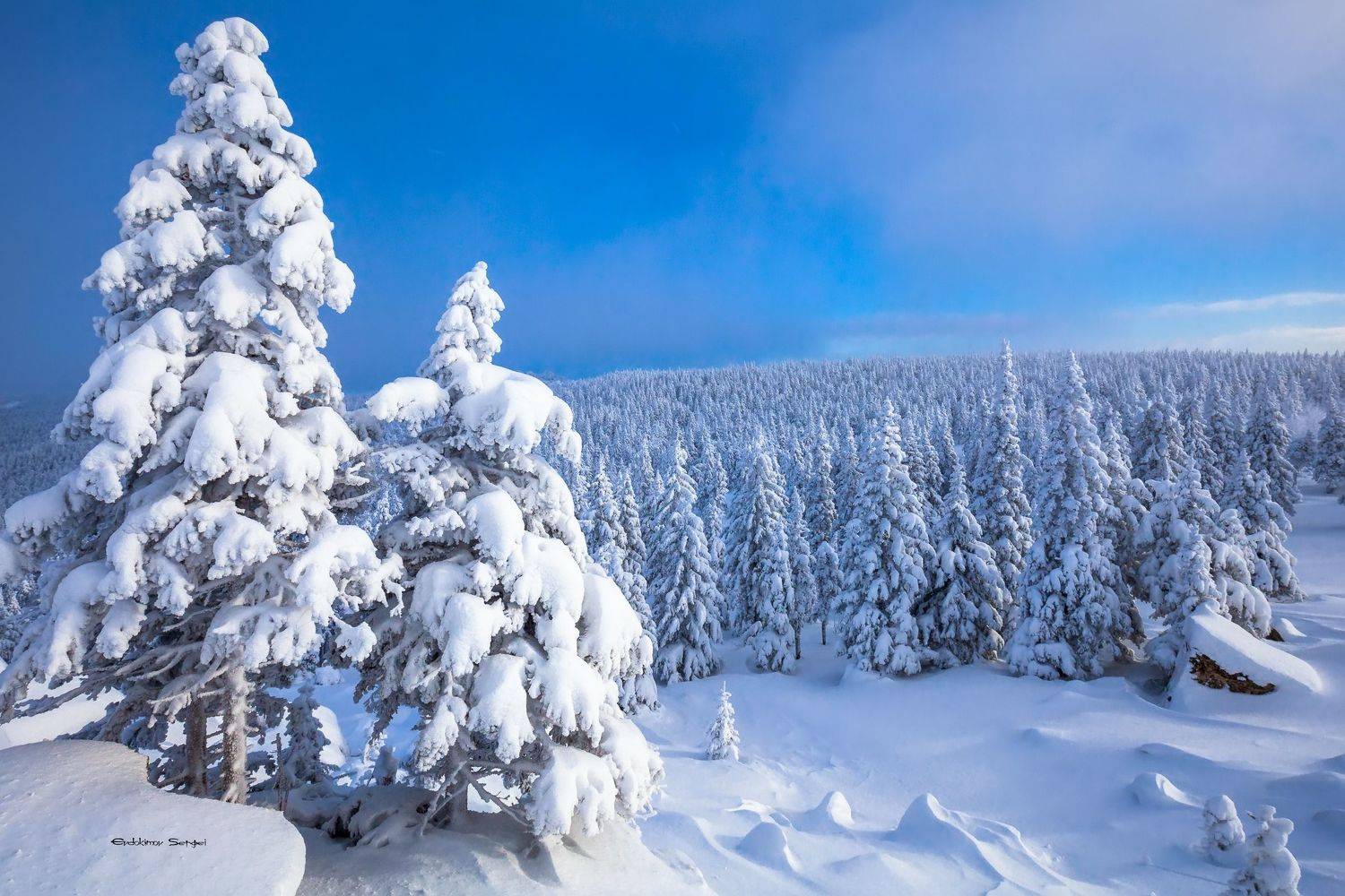 , Сергей Евдокимов
