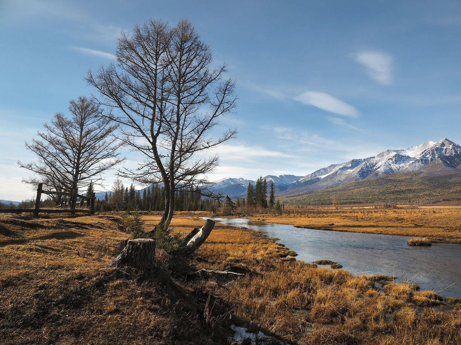 , Александр Попов