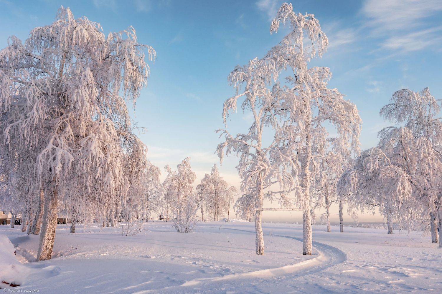 белая гора, вечер, закат, пермский край, мороз, зима, снег, белогорский монастырь, куржак, Соколова Елена