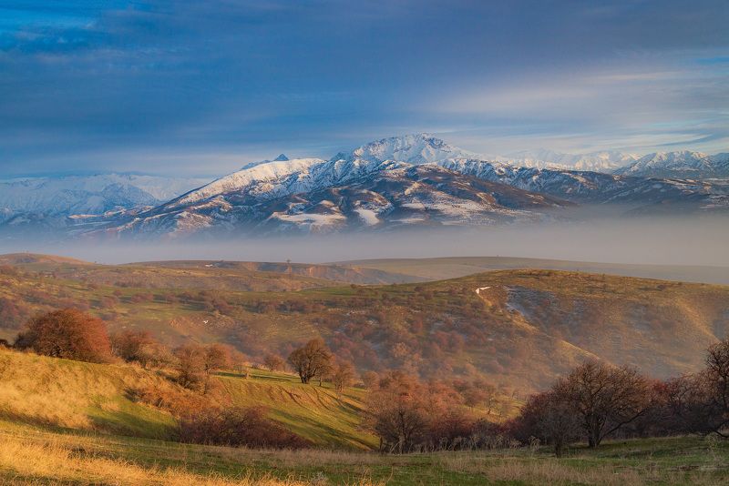 узбекистан, чимган, uzbekistan, chimgan  фото превью