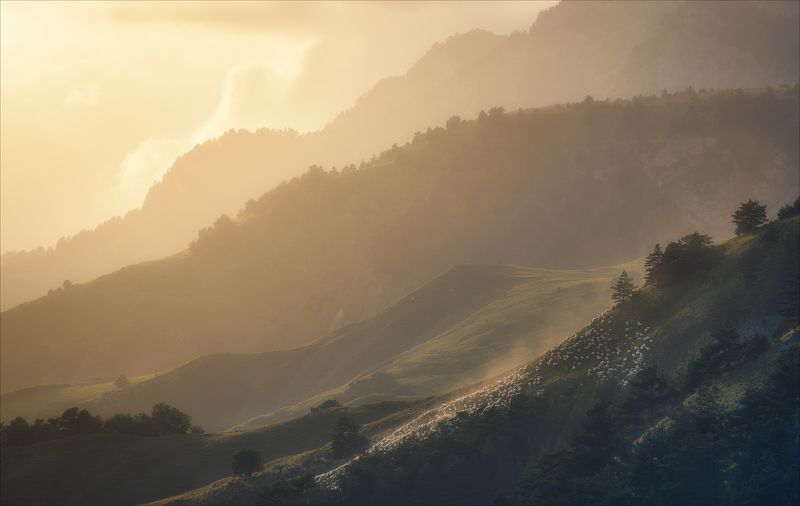 *** фото превью