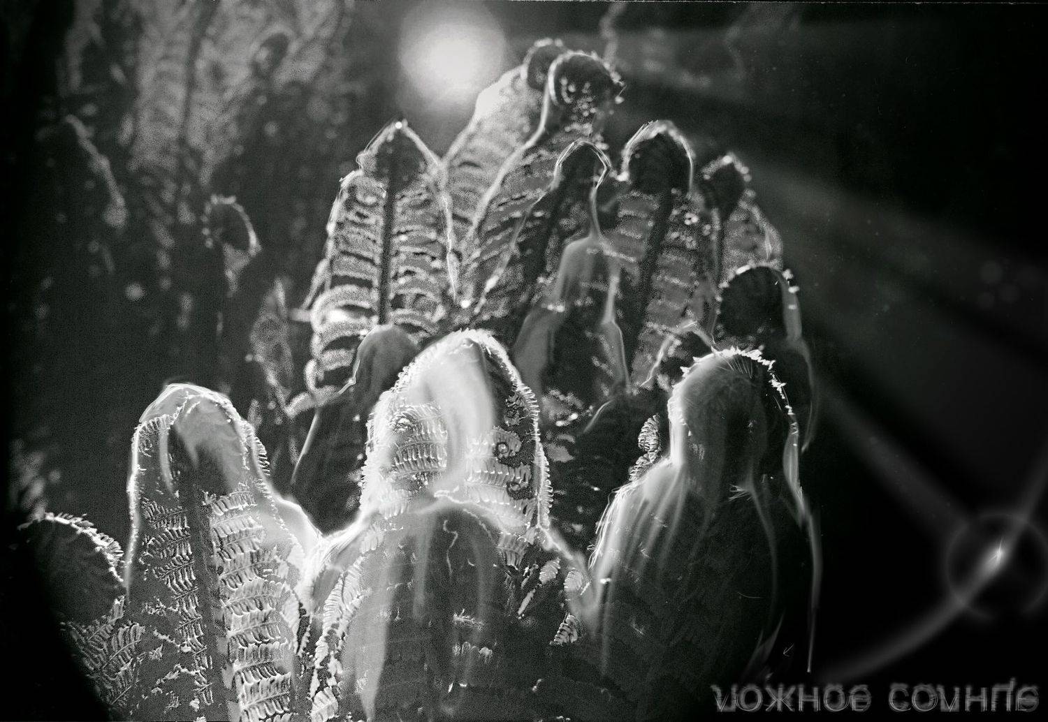 толпа, солнце, луч, надежда, темноота, свет, Светлана Холодняк