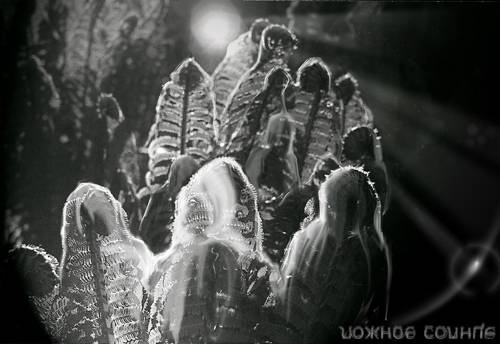 Ложное солнце