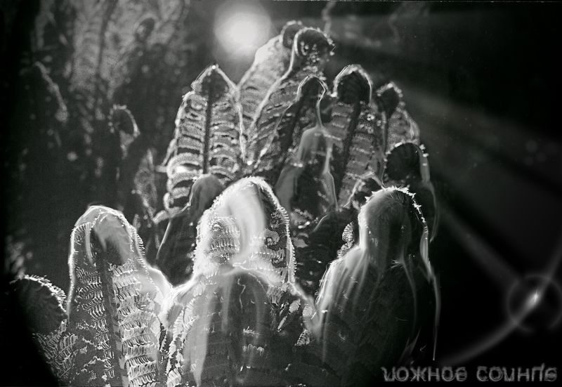 толпа, солнце, луч, надежда, темноота, свет Ложное солнце фото превью