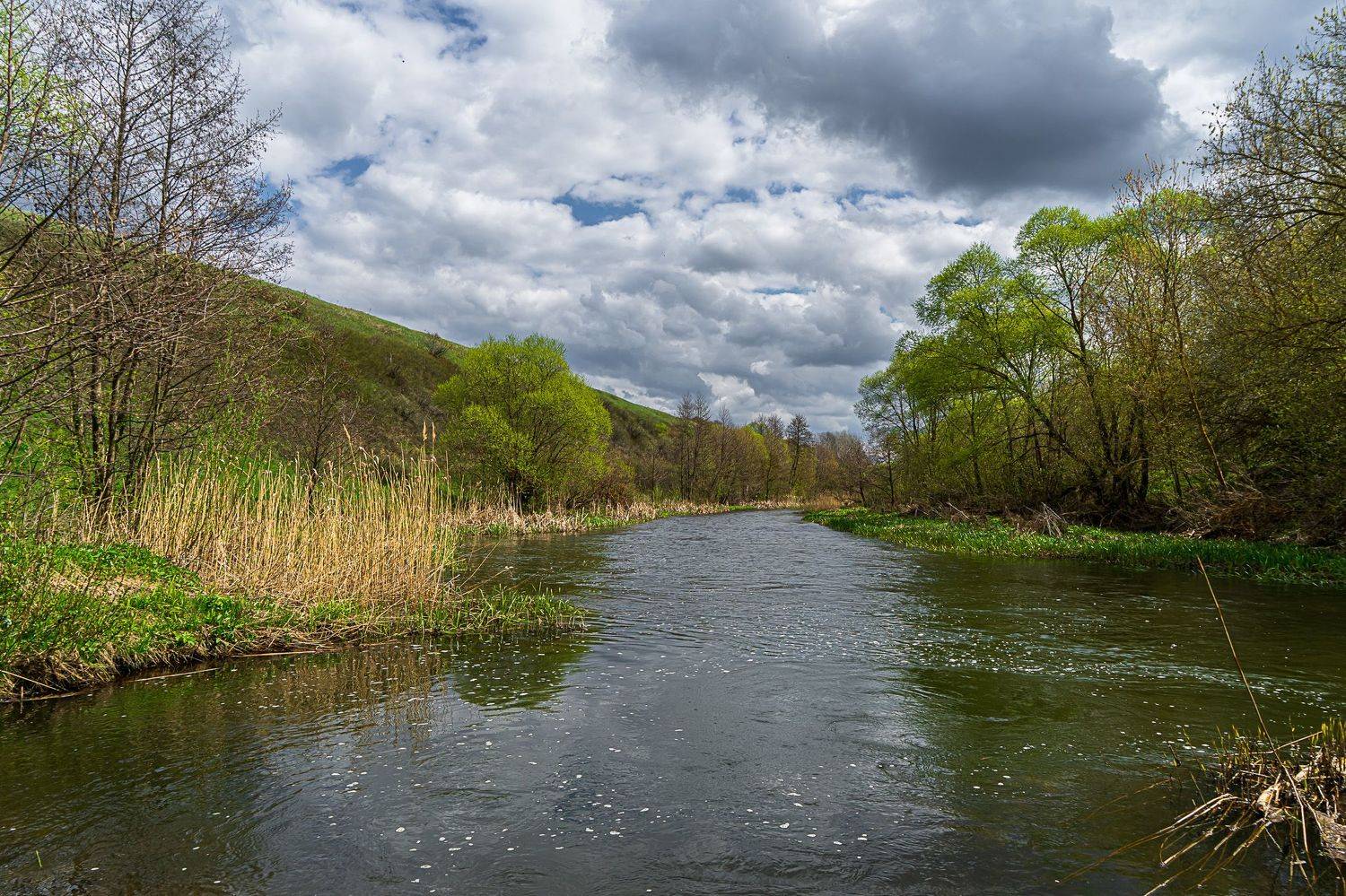 река кшень, весна, ливны,, Николай Бологов