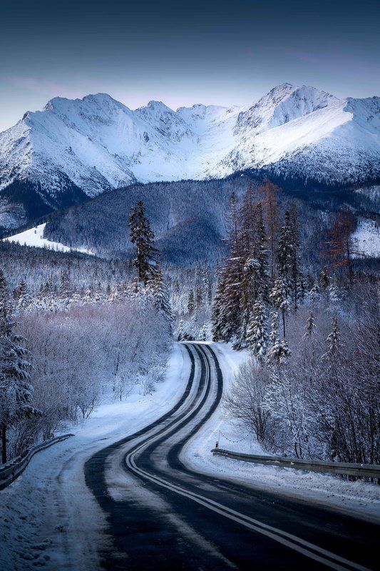 . фото превью