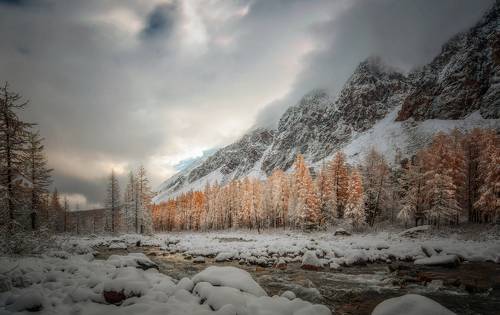 Снежное утро на Актру