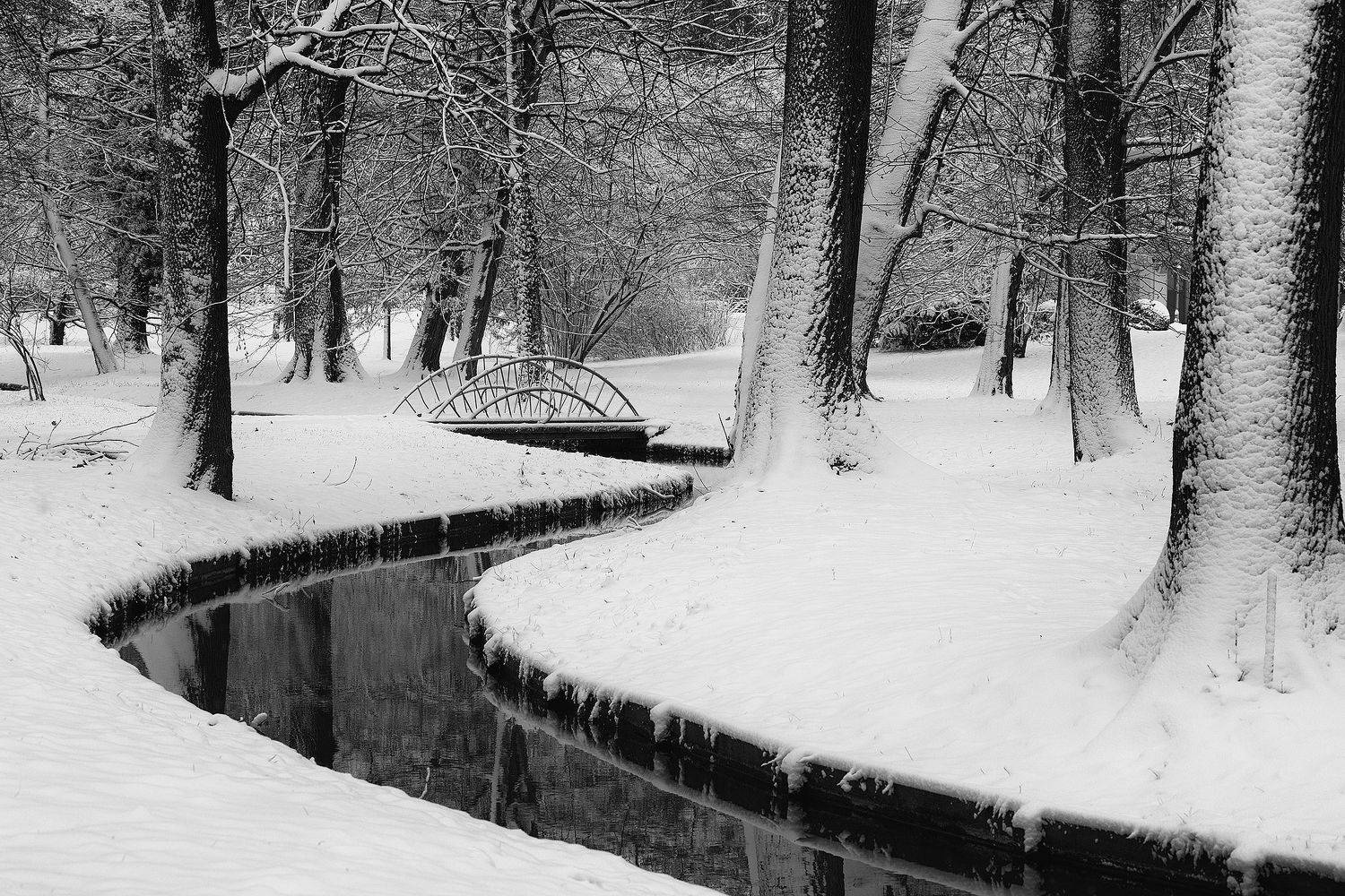 , Robert Adamec