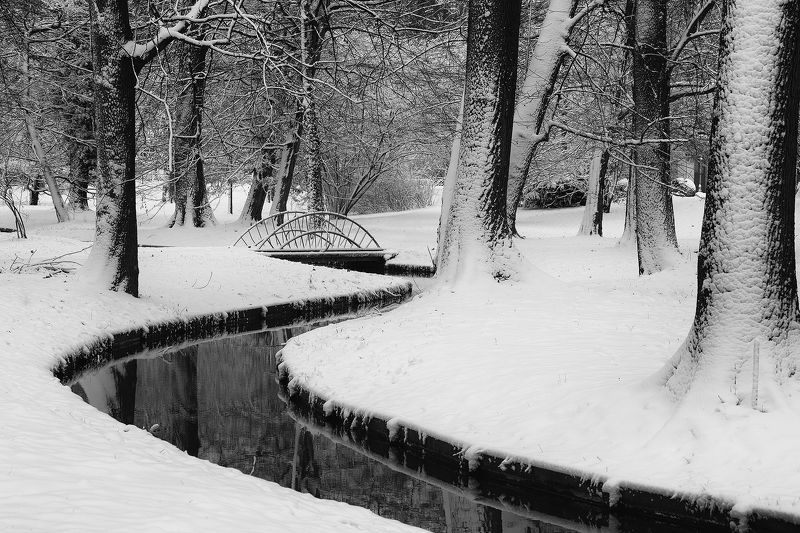 Winter фото превью