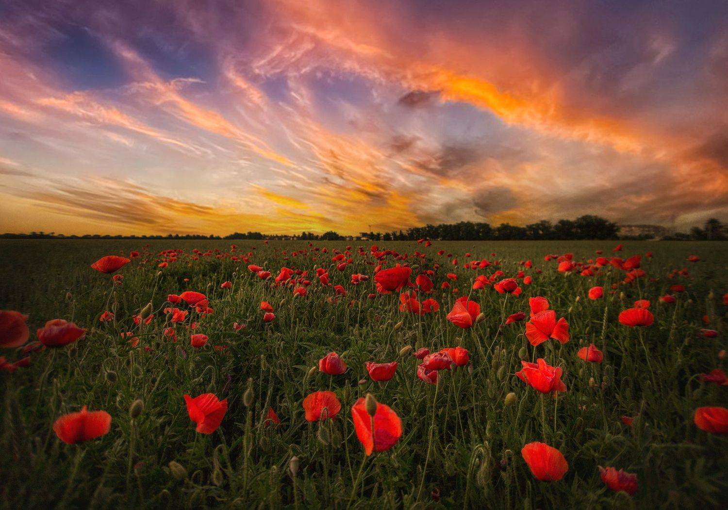 , Павел Сагайдак