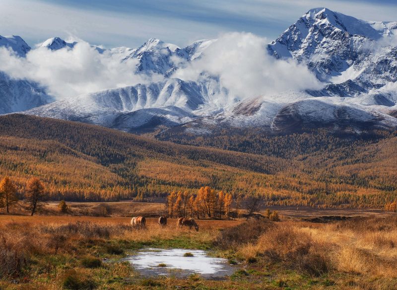 Осень в горах Алтая фото превью