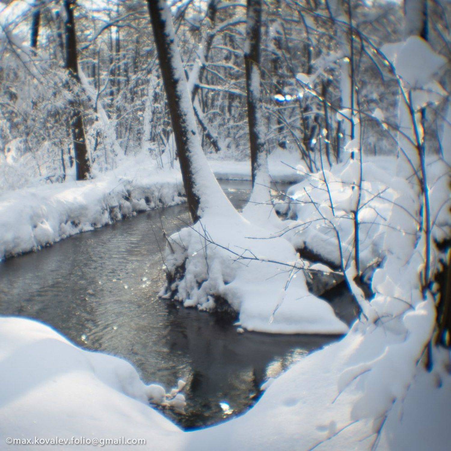 солнечно, снежно, лес, снег, река, вода, берег, Кузьминки, water, river, snow, sunny, forest, Kuzminki, Moscow, Москва, Максим Ковалёв