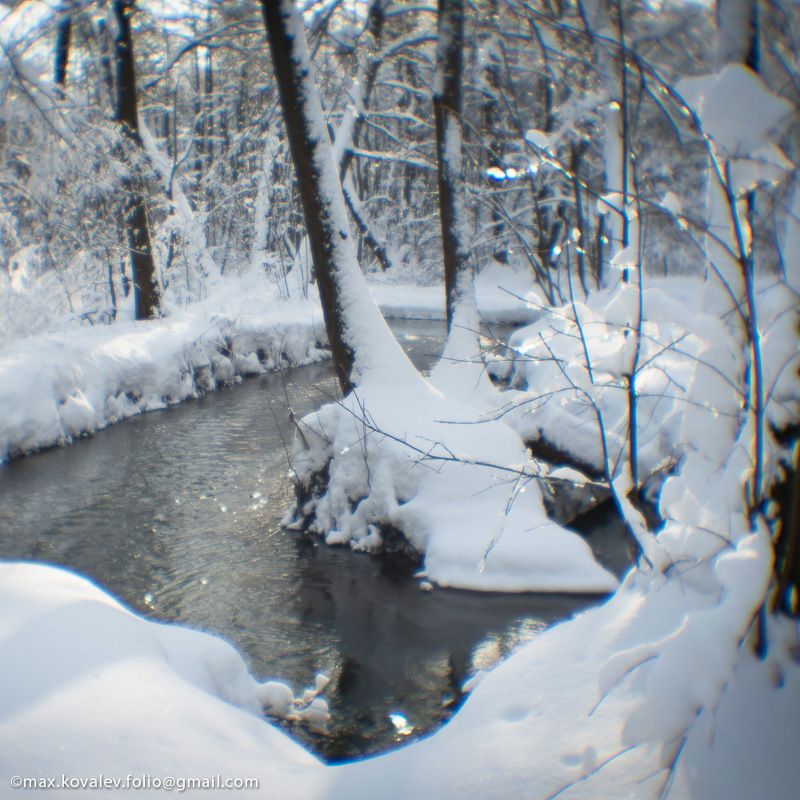 солнечно, снежно, лес, снег, река, вода, берег, Кузьминки, water, river, snow, sunny, forest, Kuzminki, Moscow, Москва Солнечно и снежно фото превью