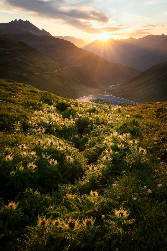 Furka фото превью