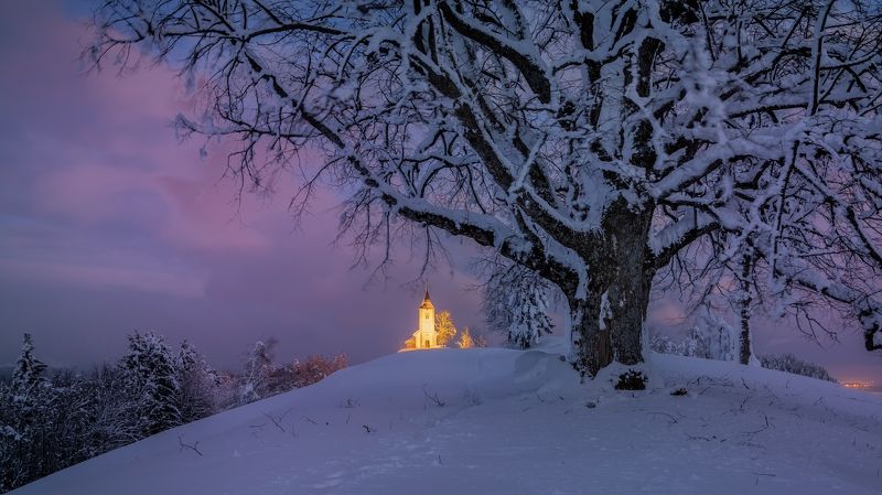 evening church tree winter light Under protection of old friend фото превью